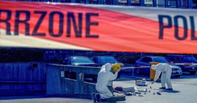 Peritos na cena do crime e a presença de livores cadavéricos no corpo da vítima